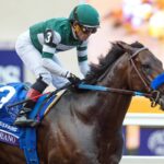 Full Serrano - Breeders Cup Dirt Mile G1 - Barbara D. Livingston/Daily Racing Form