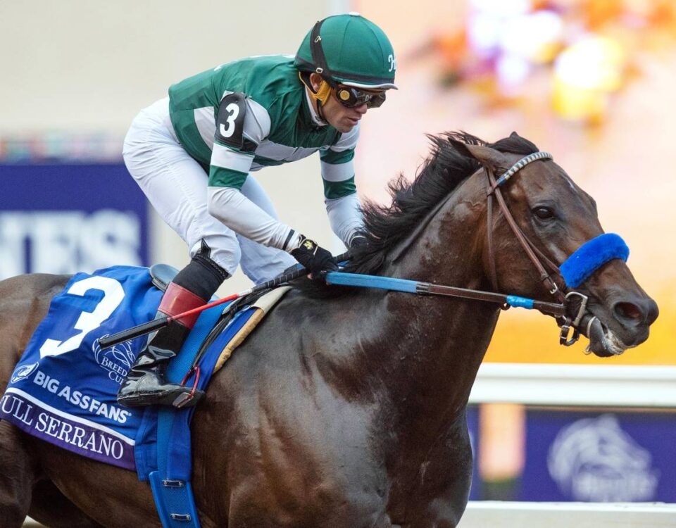 Full Serrano - Breeders Cup Dirt Mile G1 - Barbara D. Livingston/Daily Racing Form