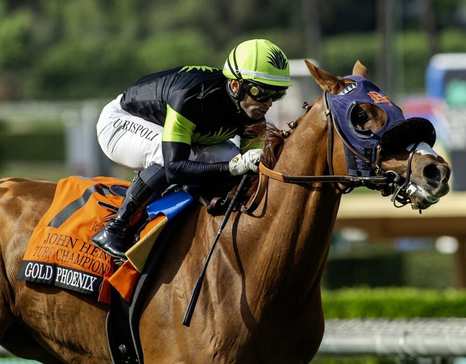 Gold Phoenix (Ire) - John Henry Turf Championship G2 - Benoit Photo