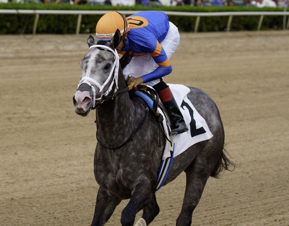 Haulin Ice - the Princess Rooney - credit G Sonny Hughes - Coglianese Photo