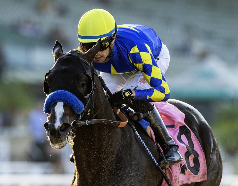 Imagination - Santa Anita Sprint Championship G2 - Benoit Photo