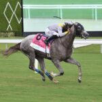 Lennilu - Hollywood Beach Stakes - Lauren King/Coglianese Photo