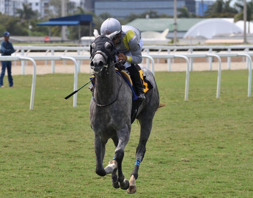Lennilu - Ryan Thompson/Coglianese Photo