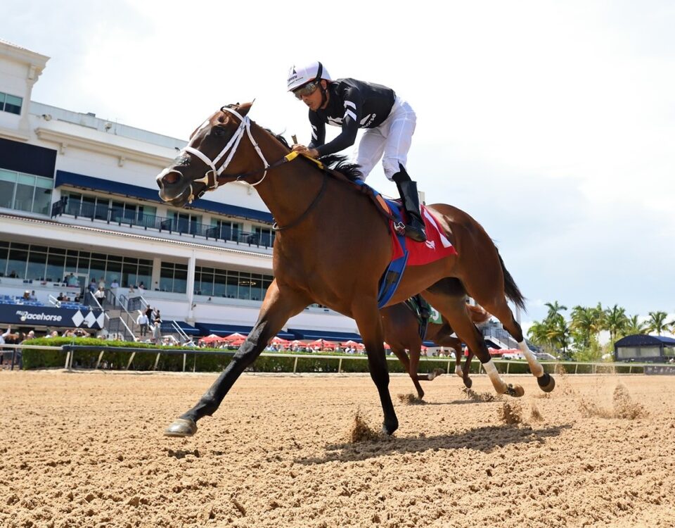 Love Like Lucy - Ryan Thompson - Coglianese Photo