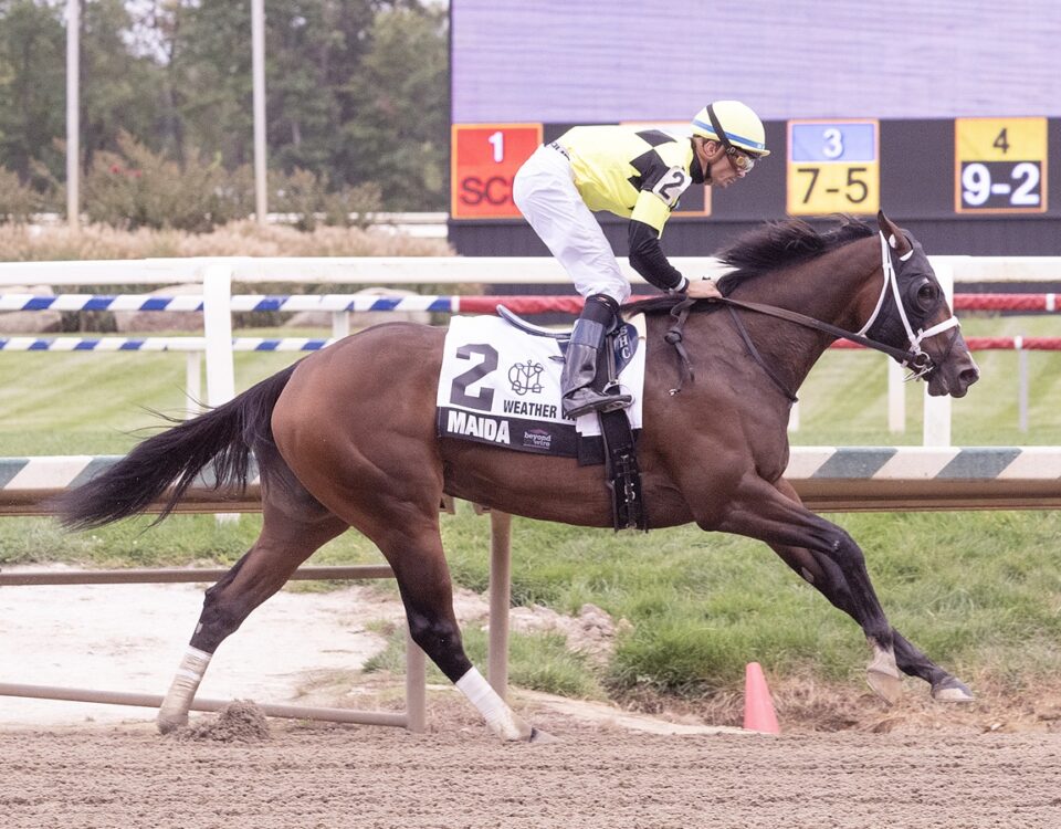 The Weather Vane Stakes - MAIDA - Jim McCue - MD Jockey Club
