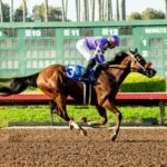 Man O Rose - Los Alamitos E.B. Johnston Stakes - Benoit Photo