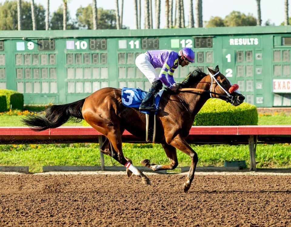 Man O Rose - Los Alamitos E.B. Johnston Stakes - Benoit Photo