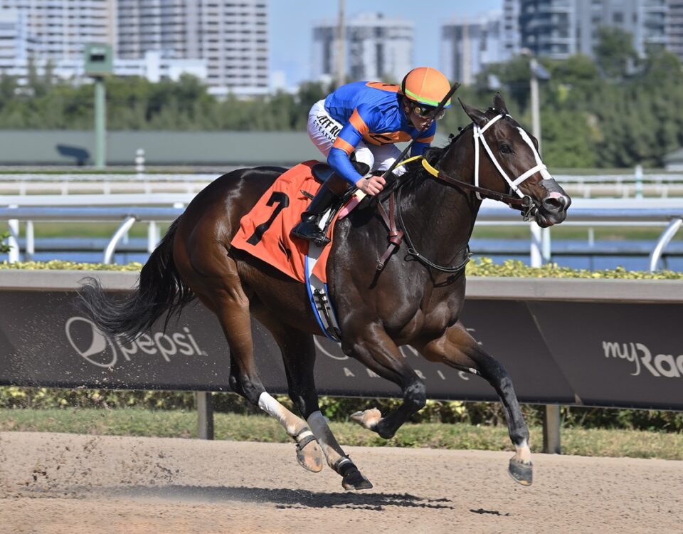 Mystic Lake - Lauren King/Coglianese Photo