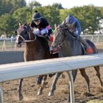 Ninetyprcentmaddie - Imply Stakes - at Parx Racing. Photo by Nikki ShermanEQUI-PHOTO.
