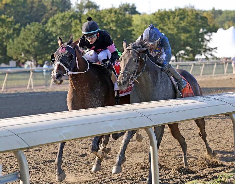 Ninetyprcentmaddie - Imply Stakes - at Parx Racing. Photo by Nikki ShermanEQUI-PHOTO.
