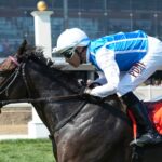 Toupie - Sensible Lady Turf Dash - PHOTO: JEFF SNYDER f/ Maryland Jockey Club