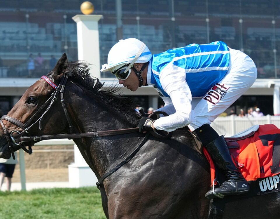 Toupie - Sensible Lady Turf Dash - PHOTO: JEFF SNYDER f/ Maryland Jockey Club