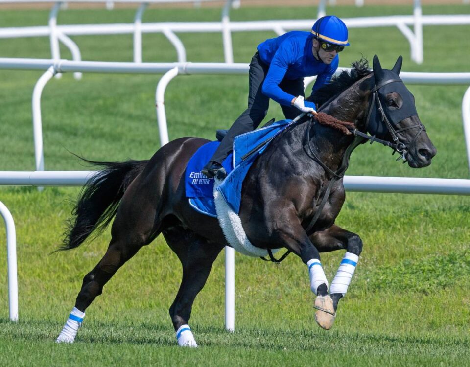 Rebel's Romance - Barbara D. Livingston / Daily Racing Form