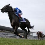 Rebel's Romance - Joe Hirsch Turf Classic G1 - Barbara D. Livingston/Daily Racing Form