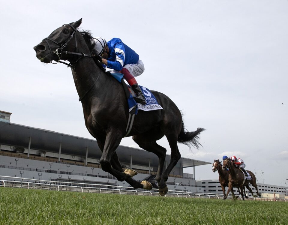 Rebel's Romance - Joe Hirsch Turf Classic G1 - Barbara D. Livingston/Daily Racing Form