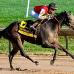 Regaled - Delaware Handicap G3 - Hoofprints Inc.
