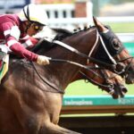 SPICE RUNNER - The Iroquois G3 - 44th Running - Churchill Downs - Coady Photo - Rick Bailey