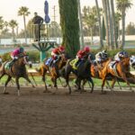 Los Alamitos Race Course, Cypress CA. - © BENOIT PHOTO
