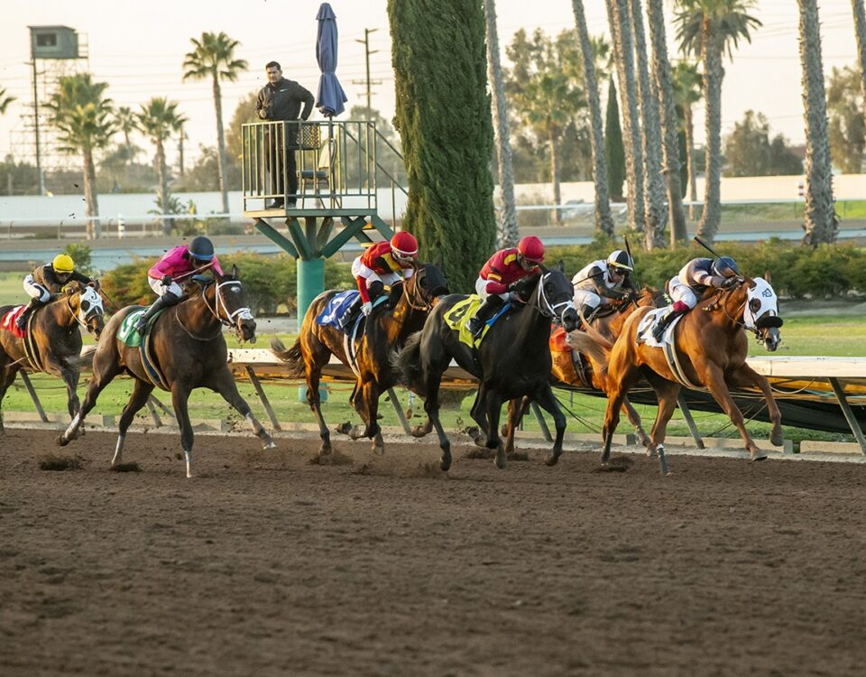Los Alamitos Race Course, Cypress CA. - © BENOIT PHOTO