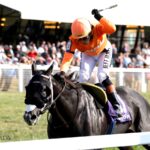 Shisospicy - Music City G2 - Coady Media