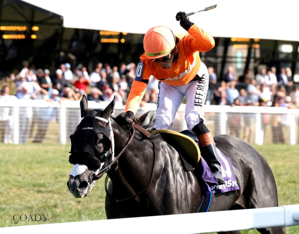 Shisospicy - Music City G2 - Coady Media