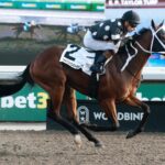 Silver is Best - $100,000 Bull Page Stakes - Woodbine/Michael Burns Photo