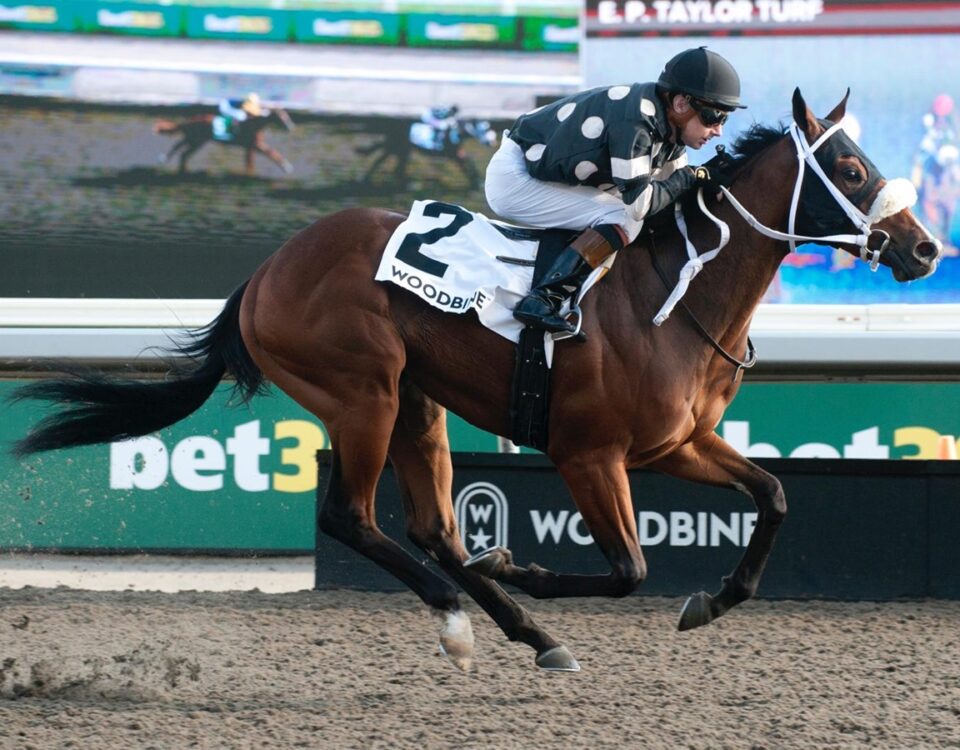 Silver is Best - $100,000 Bull Page Stakes - Woodbine/Michael Burns Photo