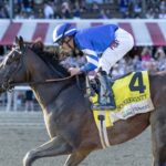 Sovereignty - Debra A. Roma / Daily Racing Form