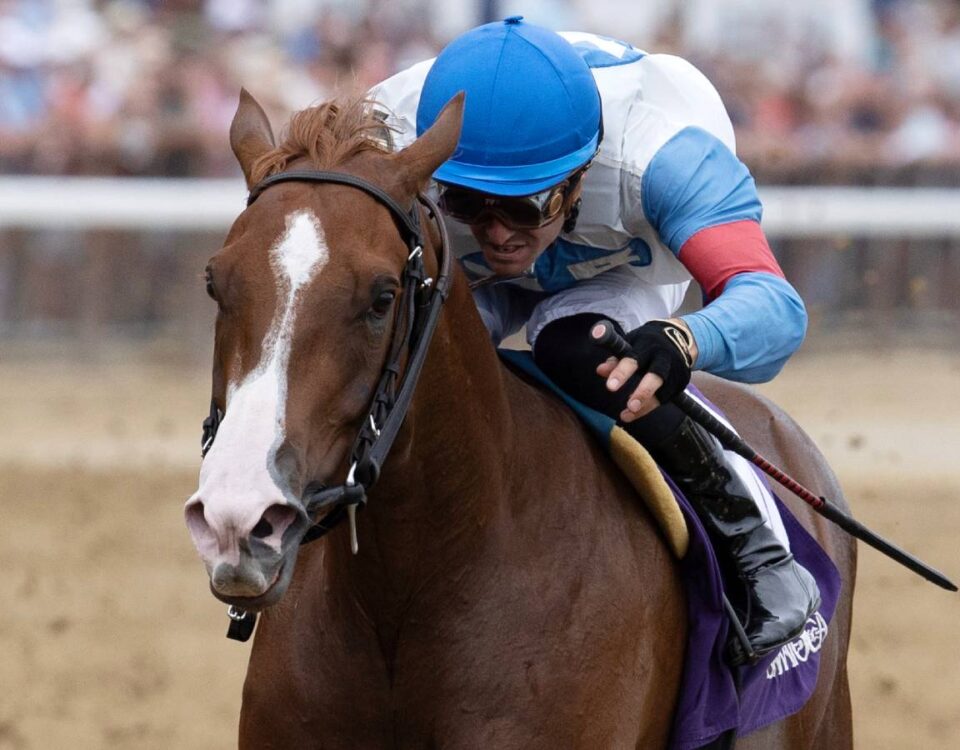 Sunday Girl - Barbara D. Livingston / Daily Racing Form