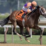 Tommy Jo - Barbara D. Livingston - Daily Racing Form