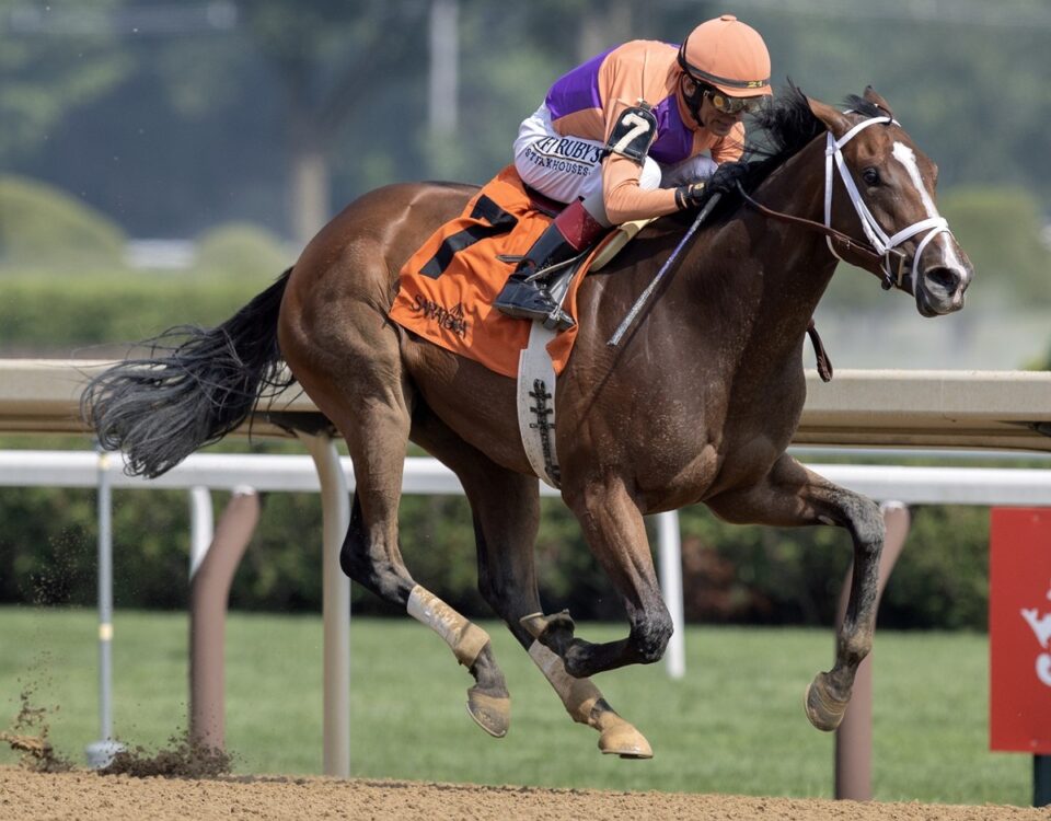 Tommy Jo - Barbara D. Livingston - Daily Racing Form