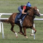 Vive Veuve - Barbara D. Livingston - Daily Racing Form