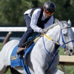 White Abarrio - Barbara D. Livingston - Daily Racing Form
