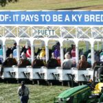 Kentucky Downs - Starting Gate - Coady Media