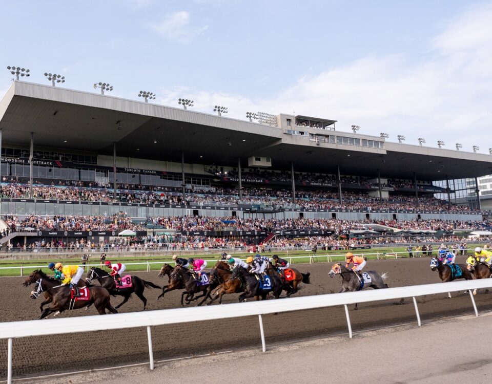 Woodbine Grandstand - Michael Burns