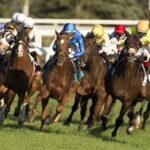 Woodbine - Michael Burns