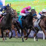 Breeders' Cup Mile 2024 - Barbara D. Livingston - Daily Racing Form