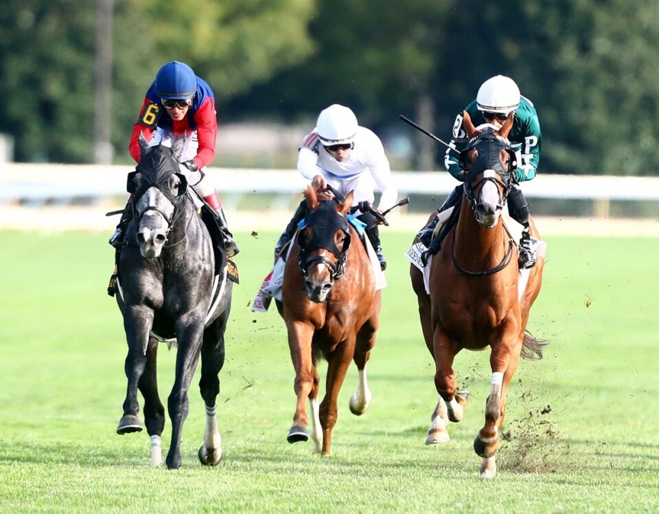 DESVIO - The Sycamore G2 - Keeneland Race Course - Barbara Barclay - Coady Media