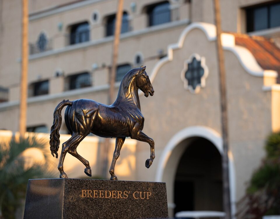 Breeders' Cup - Barbara D. Livingston /Daily Racing Form