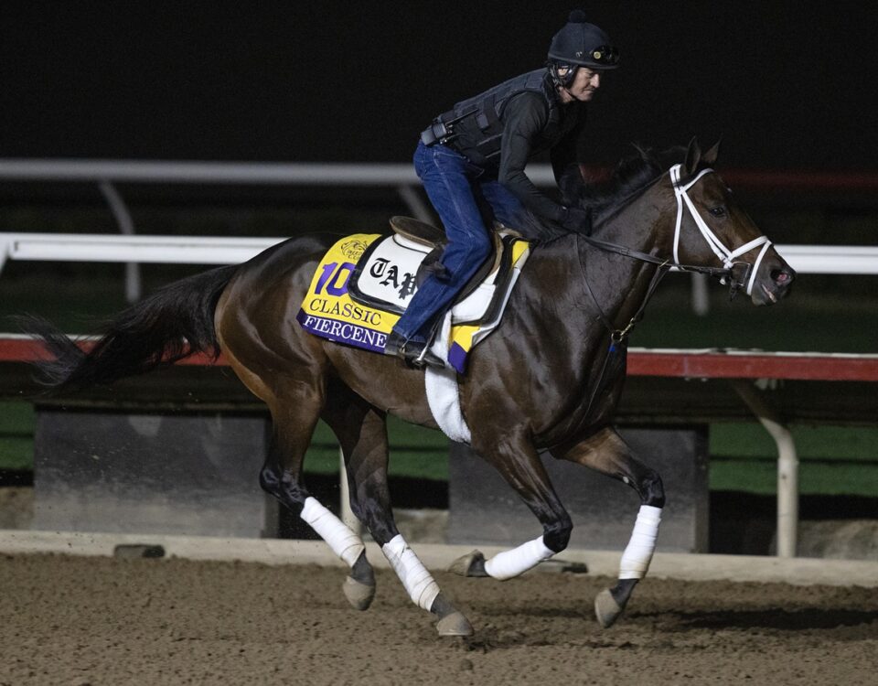 Fierceness Workout - Barbara D. Livingston - Daily Racing Form