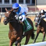 Final Accord - Matron Stakes G3 - Coglianese Photo