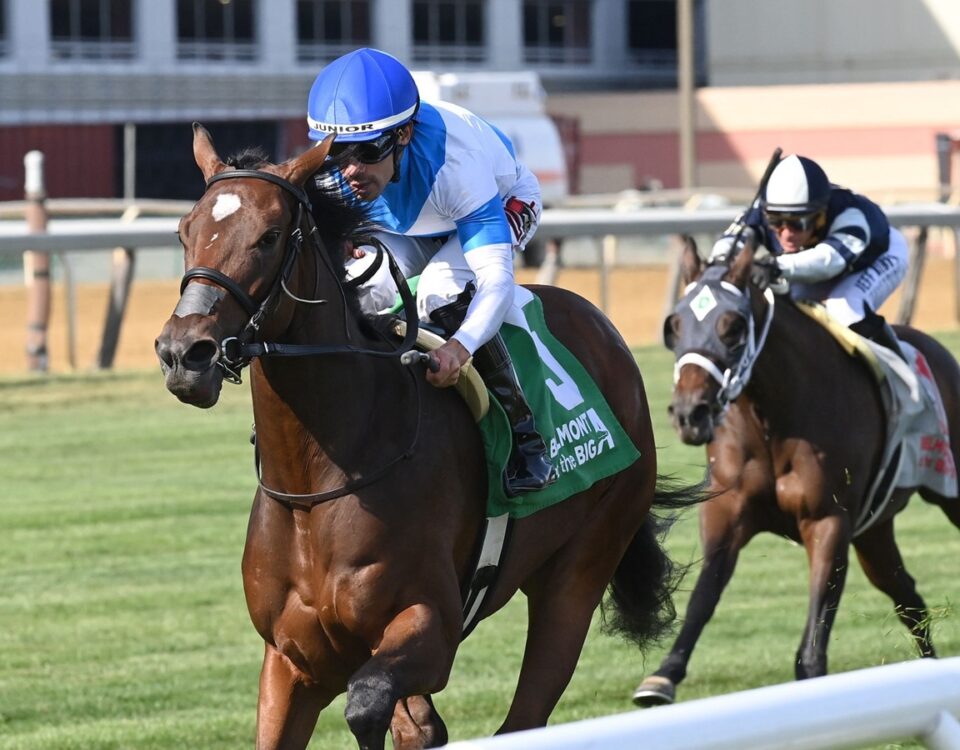 Final Accord - Matron Stakes G3 - Coglianese Photo