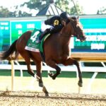 GIN GIN - The Juddmonte Spinster G1 - Keeneland Race Course - Renee Torbit - Coady Media