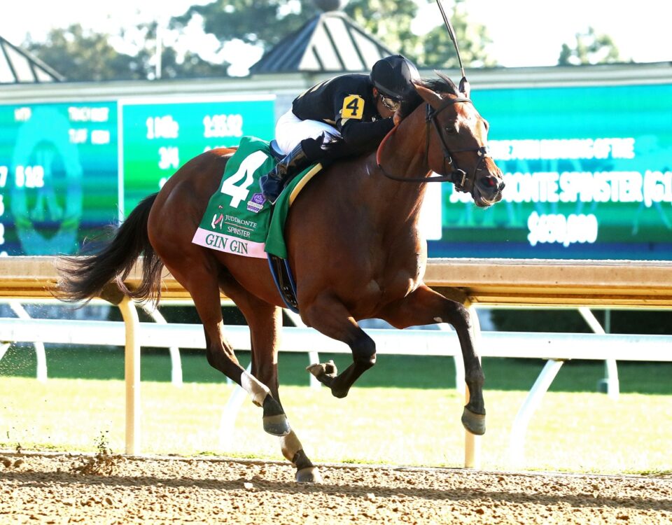 GIN GIN - The Juddmonte Spinster G1 - Keeneland Race Course - Renee Torbit - Coady Media