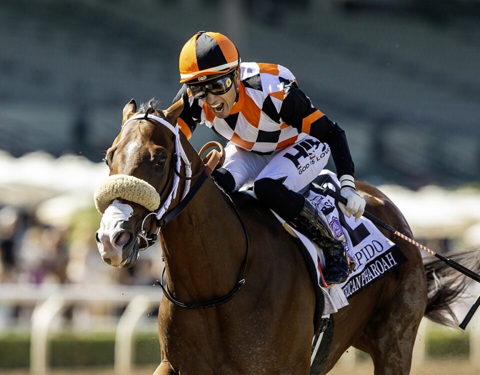 Intrepido - American Pharoah G1 - Santa Anita Park - Benoit Photo