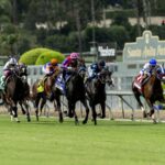 Santa Anita Park, Arcadia, CA. - Benoit Photo
