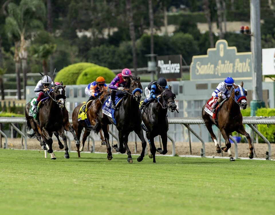 Santa Anita Park, Arcadia, CA. - Benoit Photo