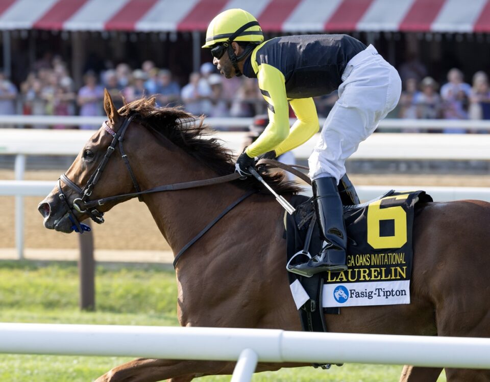 Laurelin - Debbie Roma - Daily Racing Form