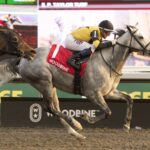 Les Reys (Fr) - Ontario Fashion Stakes G3 - Coady Media