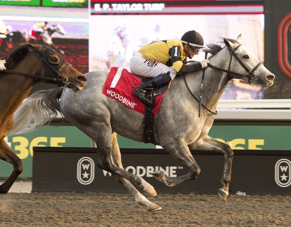 Les Reys (Fr) - Ontario Fashion Stakes G3 - Coady Media